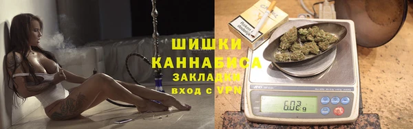 ГАЛЛЮЦИНОГЕННЫЕ ГРИБЫ Алексеевка