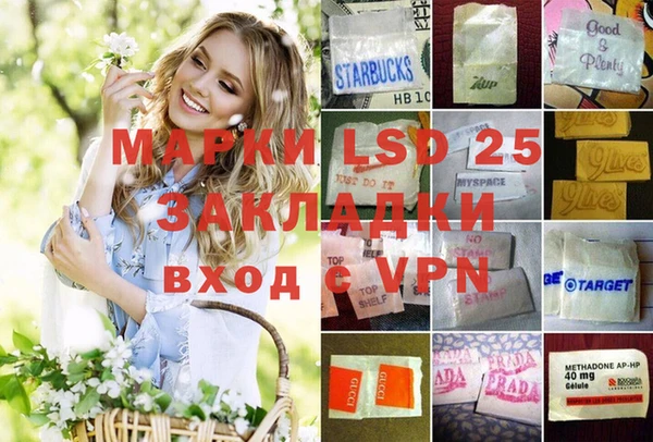ГАЛЛЮЦИНОГЕННЫЕ ГРИБЫ Алексеевка