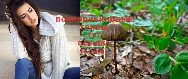 ГАЛЛЮЦИНОГЕННЫЕ ГРИБЫ Алексеевка